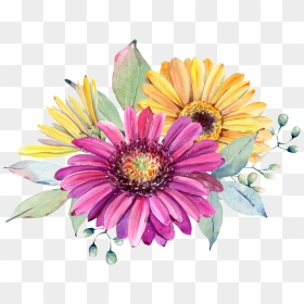 Chrysanthemum Flowers Png Image File - Chrysant Flower Png, Transparent Png - chrysanthemum png