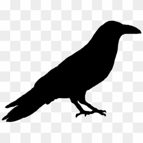 Primitive Crow Silhouette - Common Raven, HD Png Download - crow silhouette png