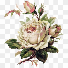 Beautiful And Flower Varieties For Tattoo Clipart - Vintage Roses Png, Transparent Png - flower tattoo png