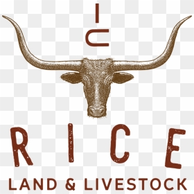 Land And Livestock Logos, HD Png Download - longhorn logo png