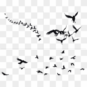 Doraemon Clipart Silhouette - Crows Flying Tattoo Designs, HD Png Download - crow silhouette png