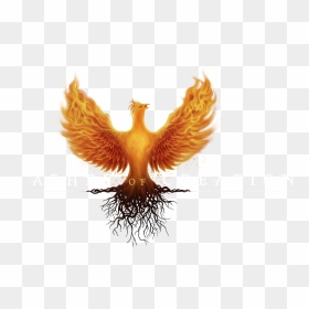 Aoc New Logo Text - Logo Ashes Of Creation, HD Png Download - creation logo png
