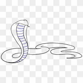 How To Draw A Cobra - King Cobra Drawing Easy, HD Png Download - king cobra png