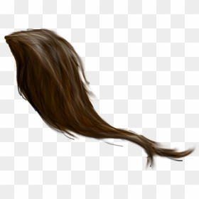 Thumb Image - Horse Tail Png, Transparent Png - tail png