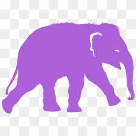 Indian Elephant, HD Png Download - elephant silhouette png