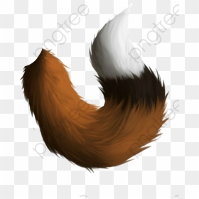 Fox Tail, Fox Clipart, Hand Painted, Tail Png Transparent - Fox Tail Png, Png Download - tail png