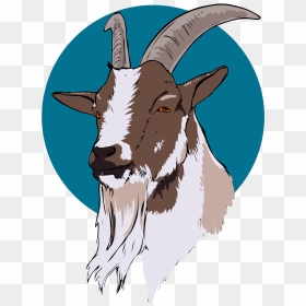 Goat Head Png , Png Download - Boer Goat Head Png, Transparent Png - goat head png