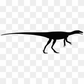 Eoraptor Silhouette, HD Png Download - dinosaur silhouette png