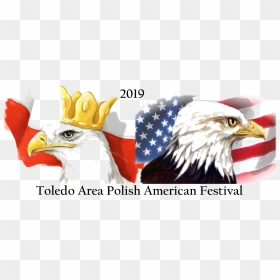 Eagle Polish American Flag, HD Png Download - nazi eagle png