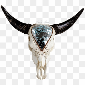 Texas Longhorn English Longhorn Animal Skulls - Texas Longhorn, HD Png Download - longhorn logo png