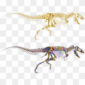 T Rex Skeleton, HD Png Download - dinosaur silhouette png