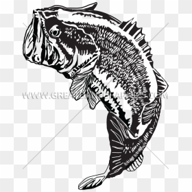 Large Mouth Bass Jumping , Png Download - Largemouth Bass, Transparent Png - largemouth bass png