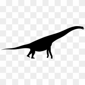 Transparent Dinosaur Clipart - Brachiosaurus Silhouette Png, Png Download - dinosaur silhouette png