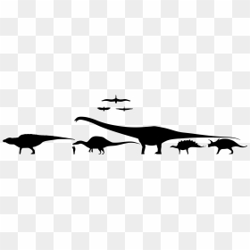 Dinosaurs Black And White Scale, HD Png Download - dinosaur silhouette png