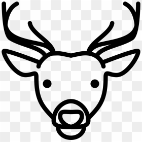 Deer Head - Animal Icons Deer, HD Png Download - deer head png