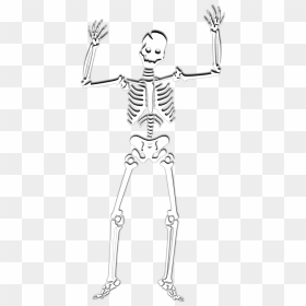 Halloween Skeleton Png Photos - Skeleton Cartoon Transparent Background, Png Download - spooky scary skeletons png