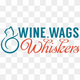 Circle, HD Png Download - whiskers png