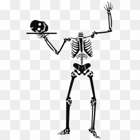 Skeleton 151169 960 720 Pixabay - Skeleton Clip Art, HD Png Download - spooky scary skeletons png