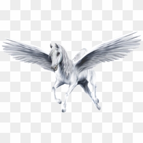 Download And Use Pegasus Png Icon - Pegasus Png, Transparent Png - pegasus png