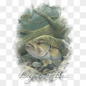 Wildlife In Deep Men"s Regular Fit T-shirt - Bass, HD Png Download - largemouth bass png