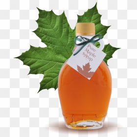 Master Cleanse Ingredients As I Mentioned Before, The - Maple Syrup Tree Images Free, HD Png Download - mike tyson tattoo png