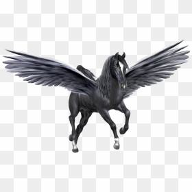 Pegasus Png - Pegasus Transparent, Png Download - pegasus png