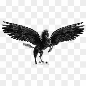 Pegasus Png Image , Png Download - Pegasus .png, Transparent Png - pegasus png