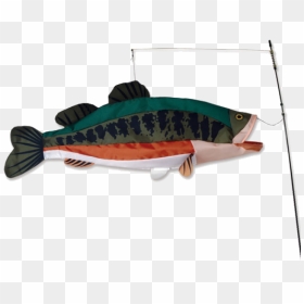 Large Mouth Bass Swimming 3d Fish - Fish Kites, HD Png Download - largemouth bass png
