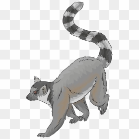 Ring-tailed Lemur Clipart - Lemur Clipart, HD Png Download - tail png