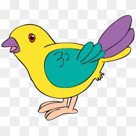Bird Clipart, HD Png Download - tail png