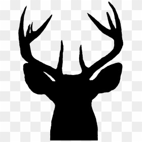 Deer Head Silhouette, HD Png Download - deer head png