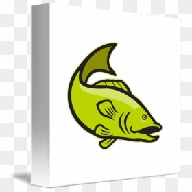 Fish Jump Png Download, Transparent Png - largemouth bass png
