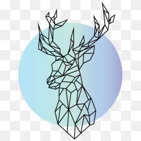 Deerhead2 - Illustration, HD Png Download - deer head png