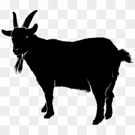 Goat Clipart Silhouette, HD Png Download - goat head png