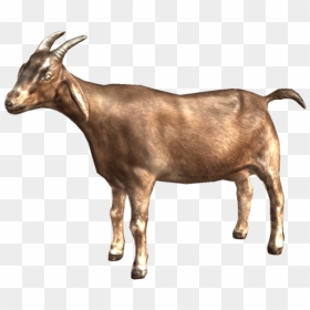 Goat Png Transparent Images, Png Download - goat head png