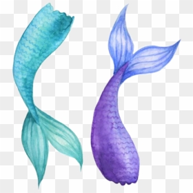 #watercolor #mermaidtail #mermaid #tail #teal #purple - Purple Mermaid Tail Drawing, HD Png Download - tail png