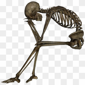 About - Skeleton Sitting Png, Transparent Png - spooky scary skeletons png