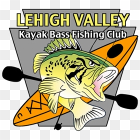 Transparent Largemouth Bass Png - Fishing Club, Png Download - largemouth bass png