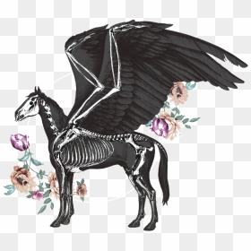 Pegasus Pale Ale - Illustration, HD Png Download - pegasus png