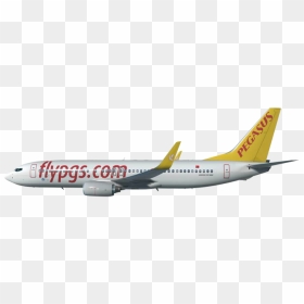 Thumb Image - Pegasus Airlines Planes Png, Transparent Png - pegasus png