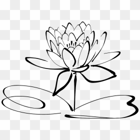 Lotus Flower Clipart Black And White, HD Png Download - flower line png