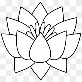 Lotus Flower Line Art - Free Flower Clipart Line Drawing, HD Png Download - flower line png