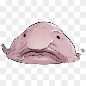 Thumb Image - Drawing Of A Blobfish, HD Png Download - blobfish png