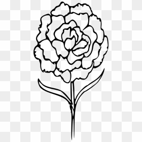 Flower Line Clipart Image Black And White Download - Outline Of Carnation Tattoo, HD Png Download - flower line png