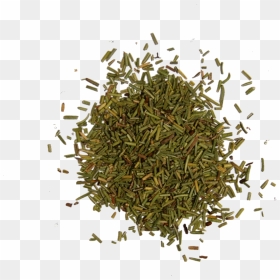 The Herb Shop - Herbs And Spices Rosemary, HD Png Download - spices png