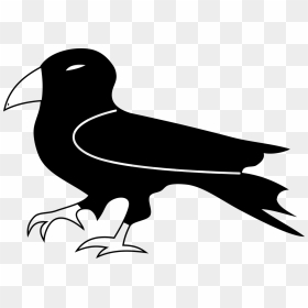 Raven Bird Nature Free Photo - Varna Clipart Black And White, HD Png Download - raven silhouette png