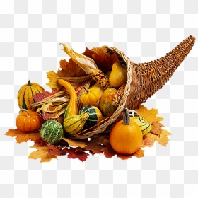 Food Found At The First Thanksgiving, HD Png Download - thanksgiving pumpkin png