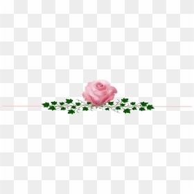Alpha Kappa Alpha Tea Rose, HD Png Download - rose vines png