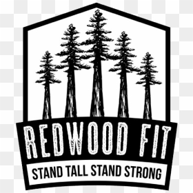 Redwoodfit-black&white Watermark - Ford's Garage, HD Png Download - redwood tree png