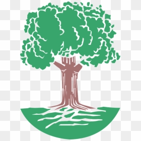 Redwood Tree Cliparts 7, Buy Clip Art - Oak Tree Coat Of Arms, HD Png Download - redwood tree png